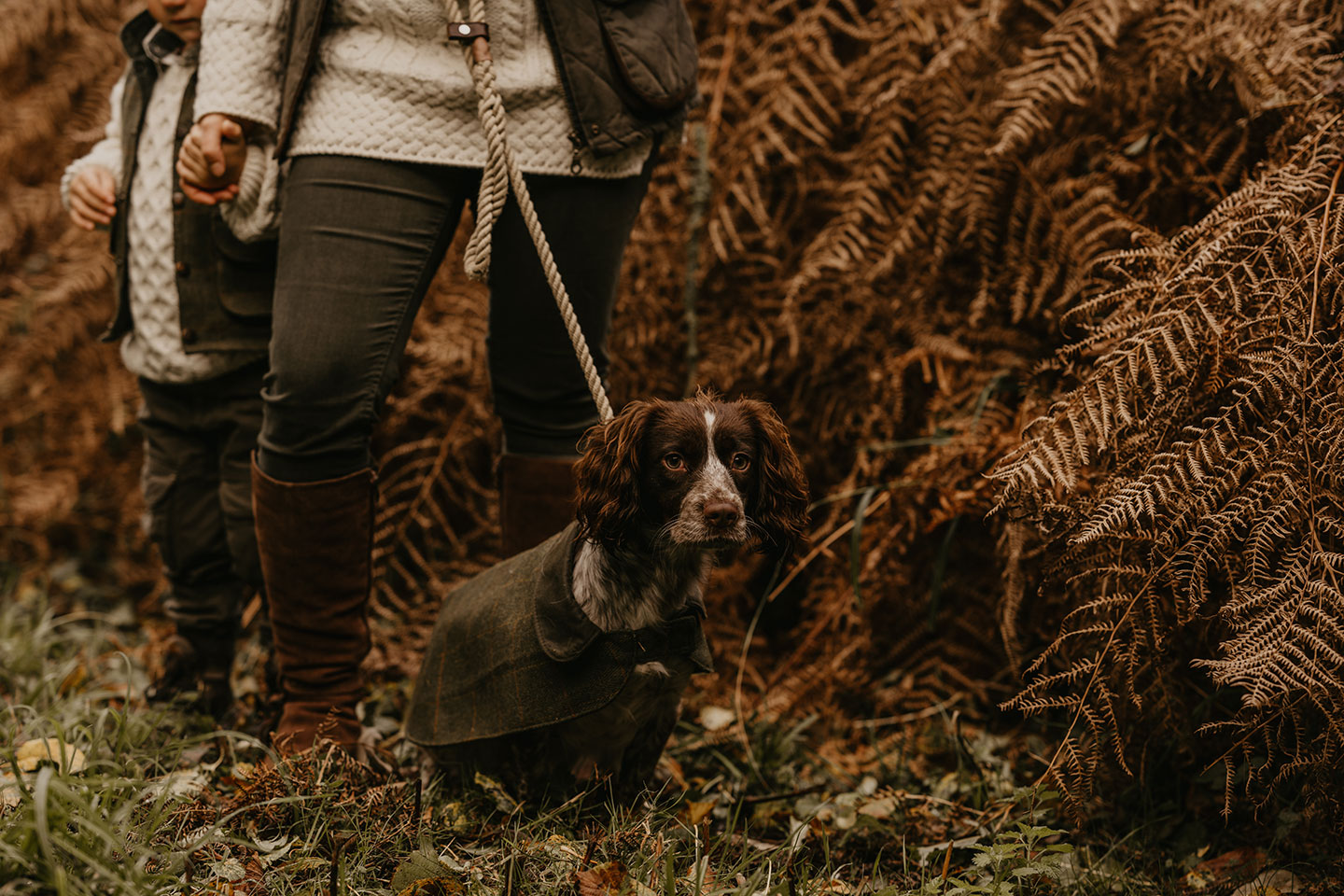 For brisk days and wagging tails